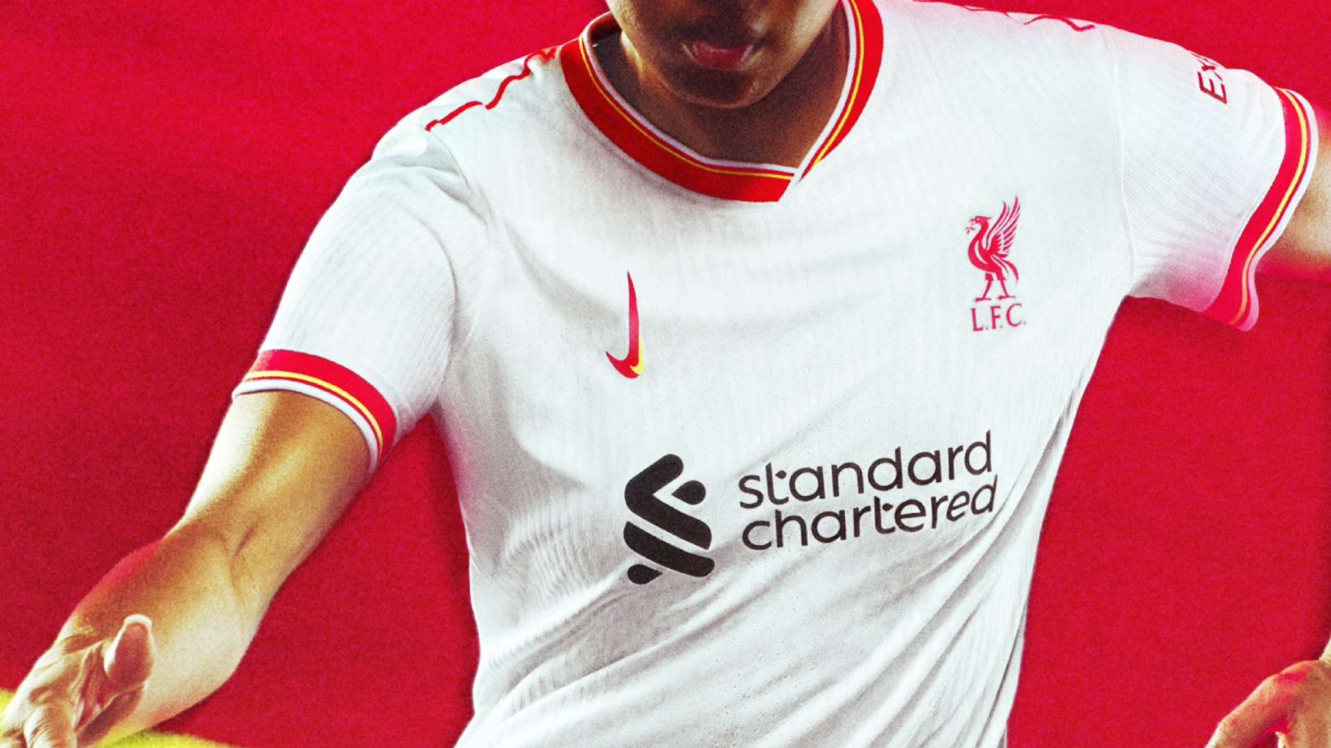 正是他们能 正是他们能