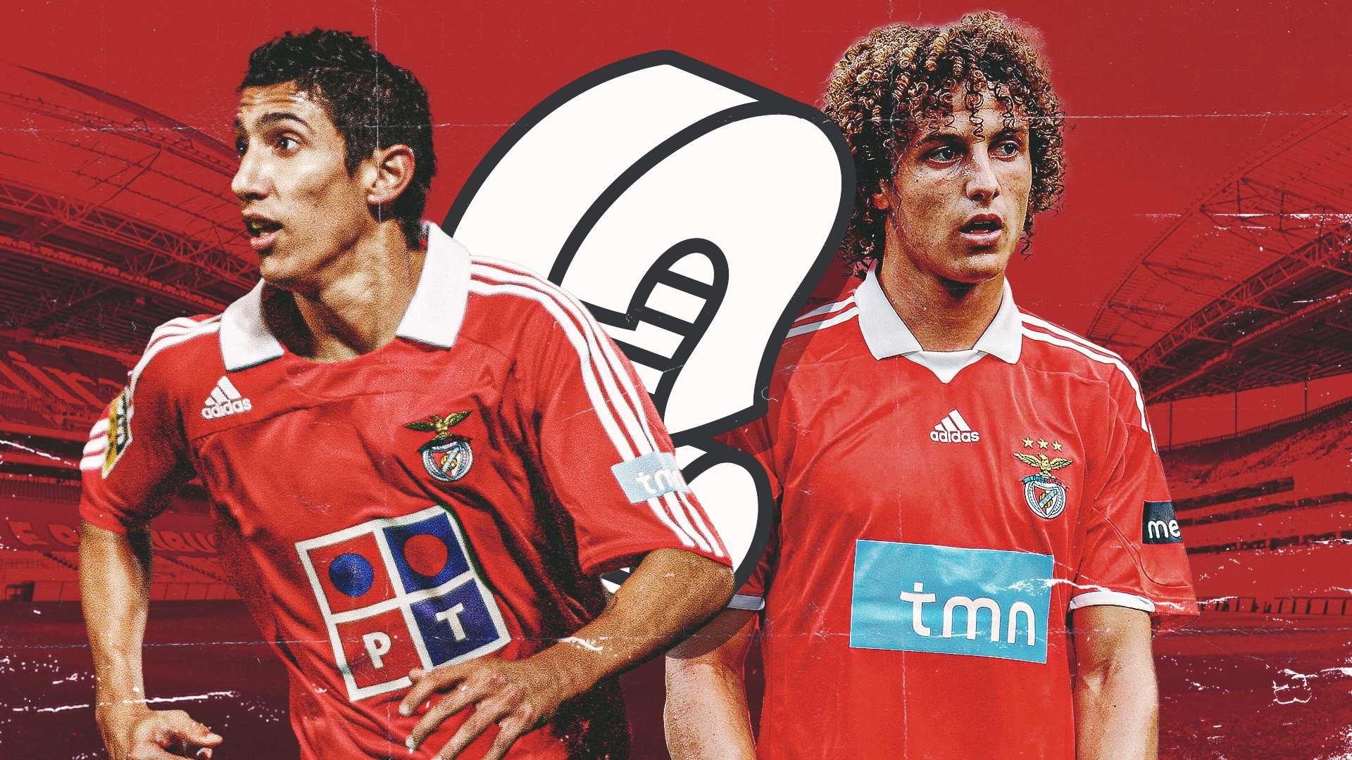 洲賽場這類 洲賽場這類